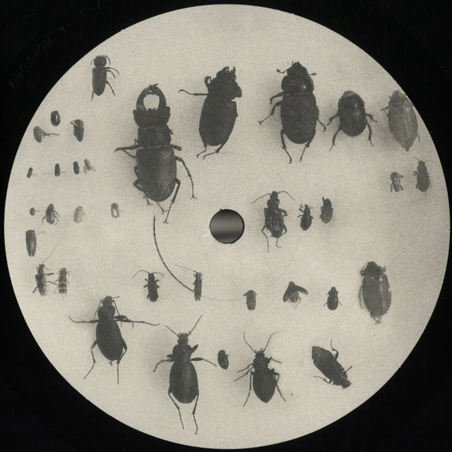 Lewis Fautzi – You Can't Step On the Same Risk Twice EP, 12" vinyl cover (Mord Records, MORD089)