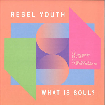 What is soul? (30th anniversary remixes)