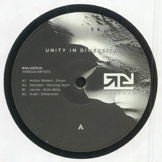 Unity In Diversity 01