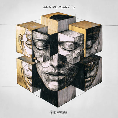 Steyoyoke Anniversary, Vol. 13