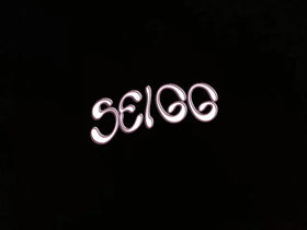 Seigg