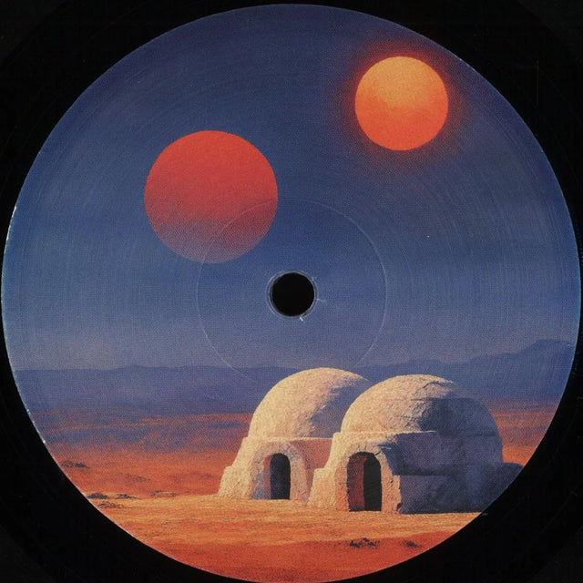 Transient States. Feedback