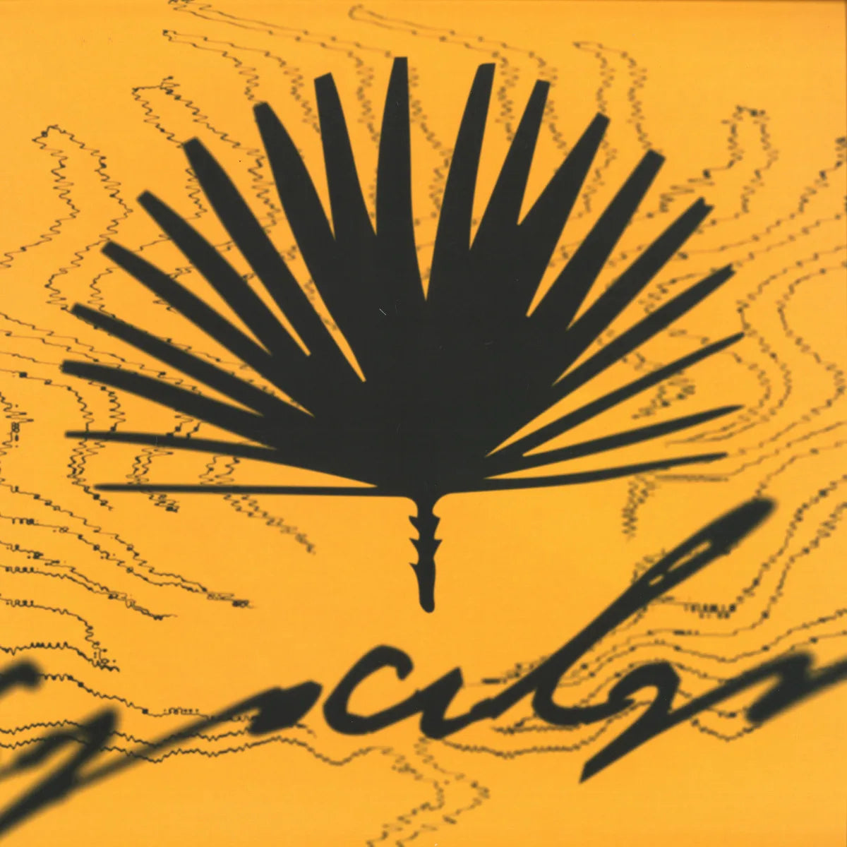 Various Artists – CINC, 12" vinyl cover (Lespalmes Discs, LSPD005)
